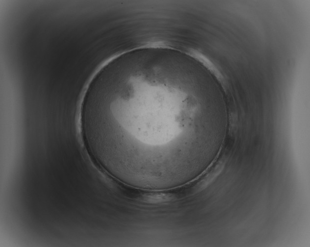 X0000100481331200806271154