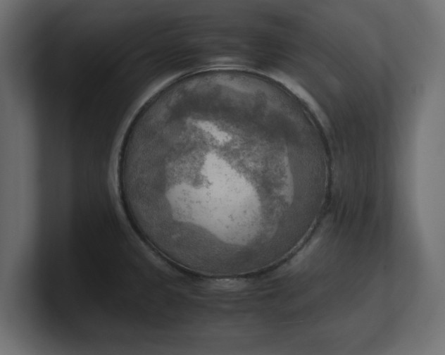 X0000100481333200806271154