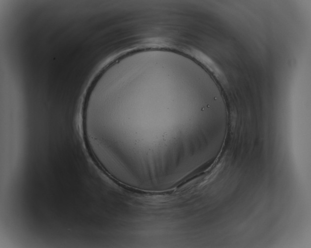 X0000100481334200806271154