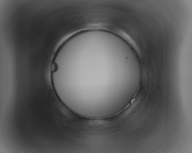 X0000100481336200806271154