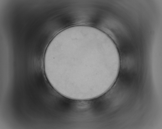 X0000100481338200806271154