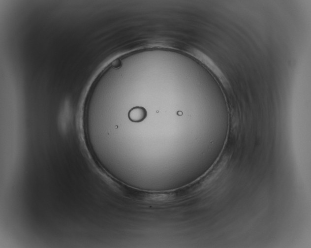 X0000100481339200806271154