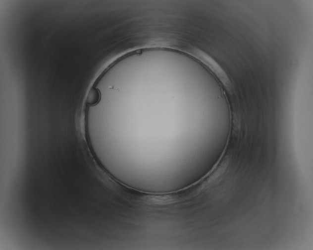 X0000100481340200806271154