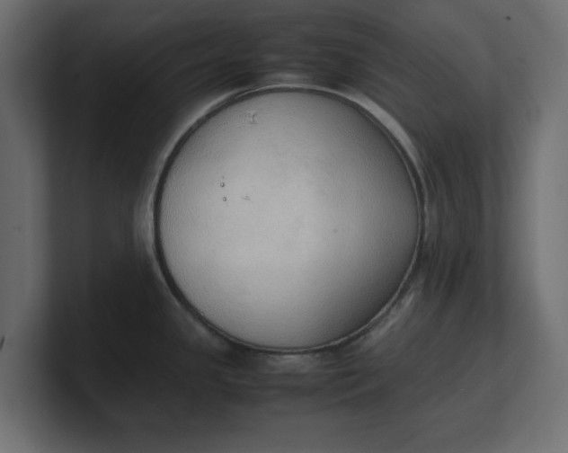 X0000100481341200806271154