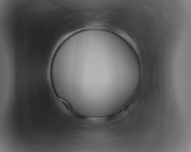 X0000100481344200806271154