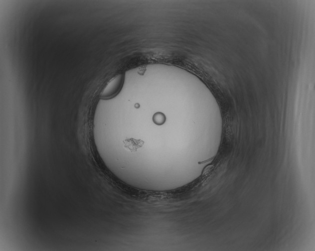 X0000100481345200806271154