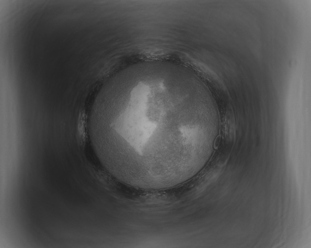 X0000100481346200806271154
