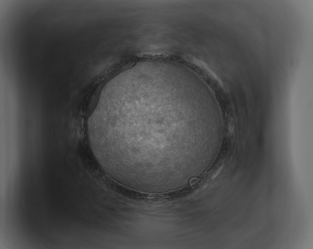 X0000100481350200806271153