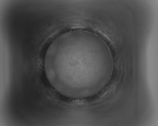 X0000100481351200806271153