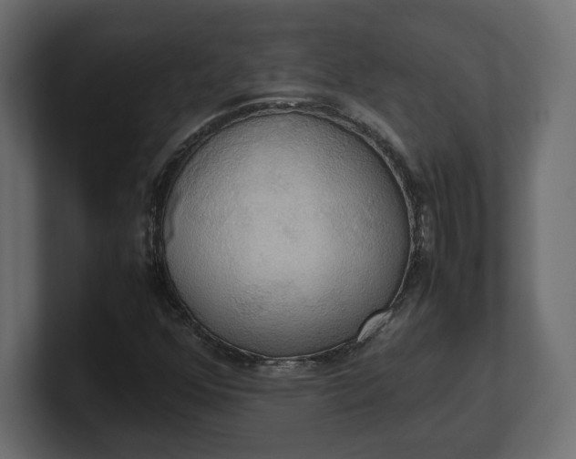 X0000100481352200806271153
