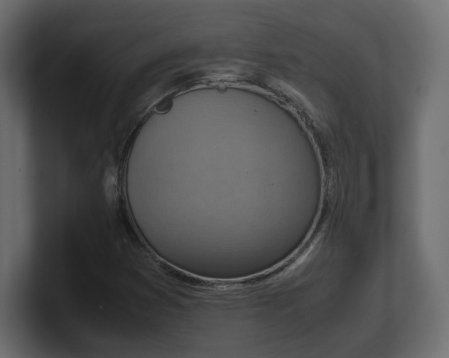 X0000100481353200806271153
