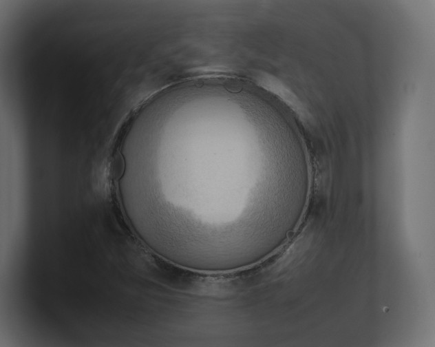 X0000100481357200806271153