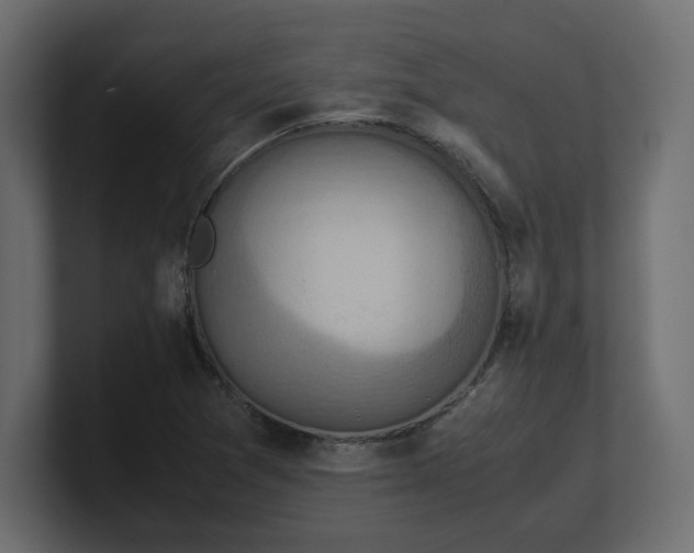 X0000100481361200806271153
