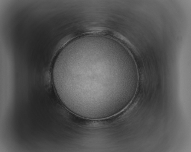 X0000100481362200806271153
