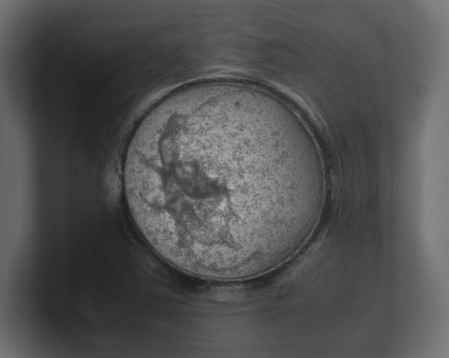 X0000100481363200806271153