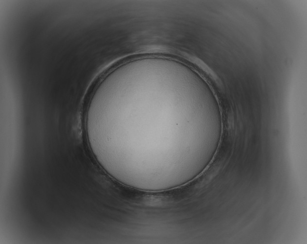 X0000100481364200806271153