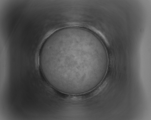 X0000100481365200806271153