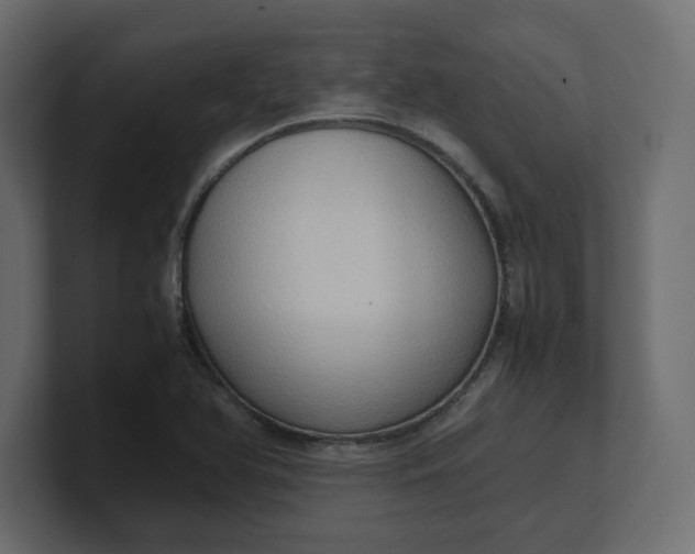 X0000100481366200806271153