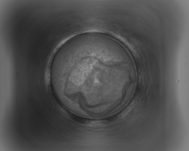 X0000100481367200806271153