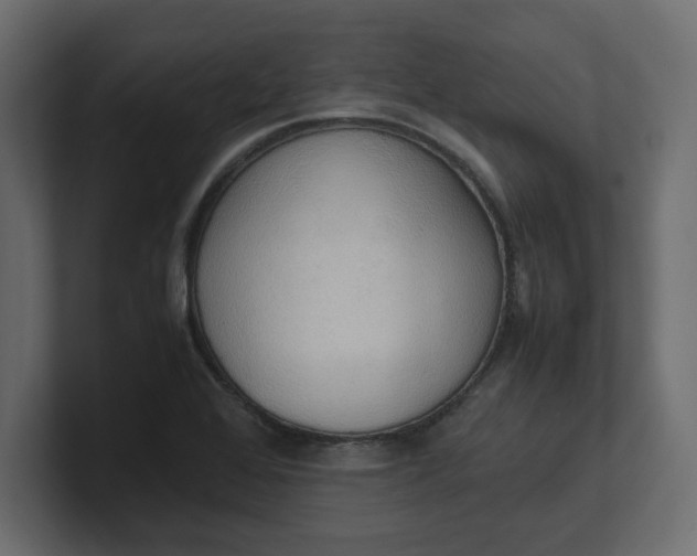 X0000100481368200806271153