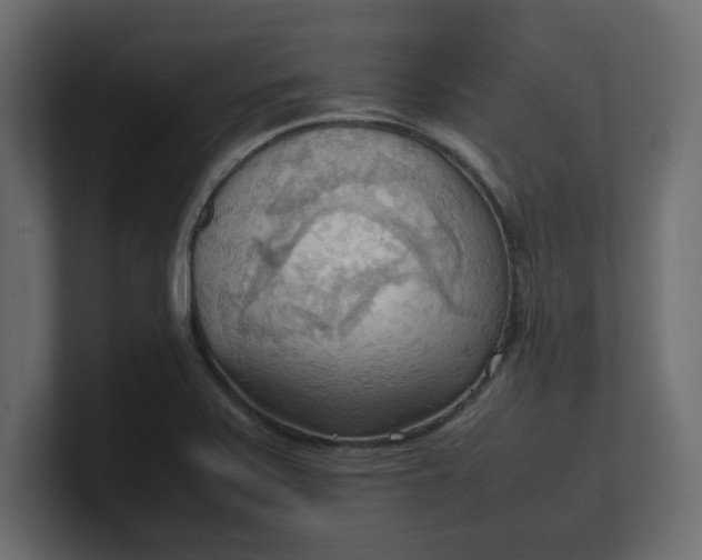 X0000100481371200806271153