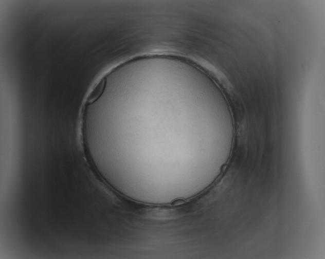 X0000100481374200806271153