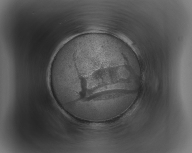 X0000100481379200806271153