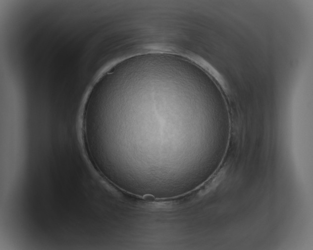 X0000100481381200806271153
