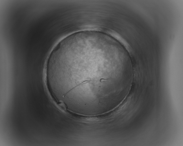 X0000100481383200806271153