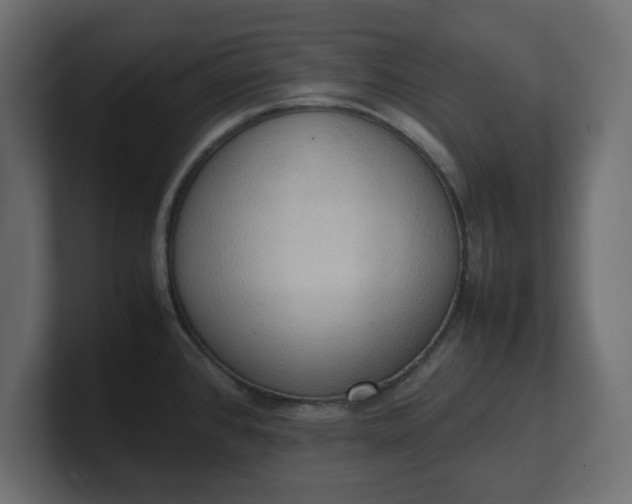 X0000100481384200806271153
