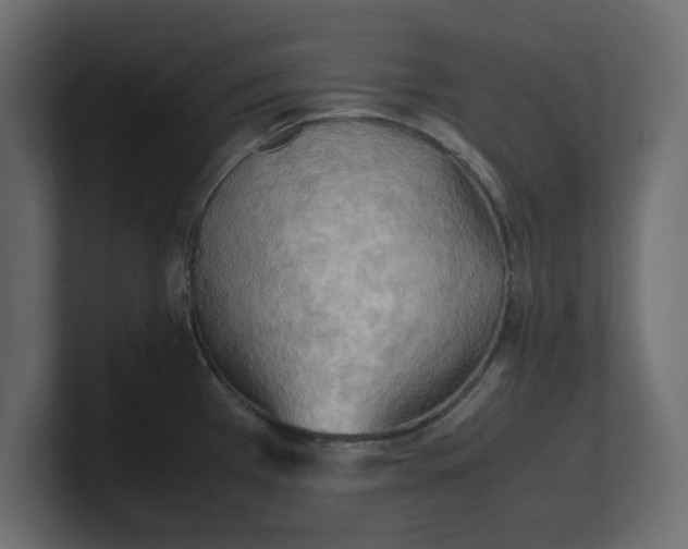X0000100481385200806271153