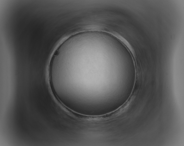X0000100481389200806271153