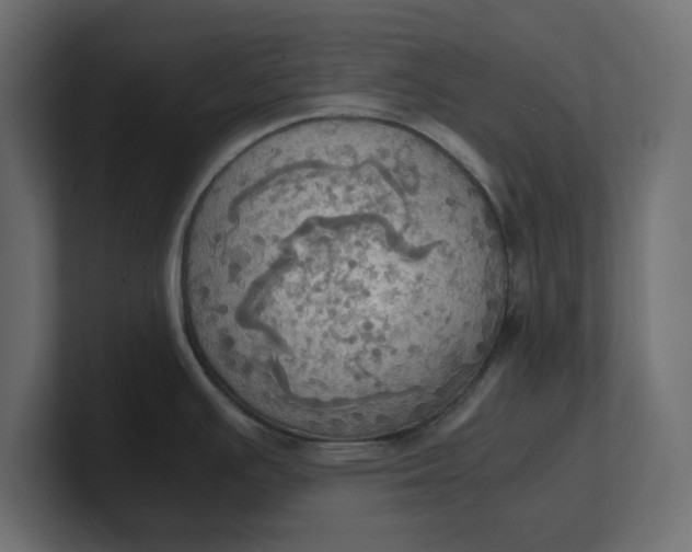 X0000100481391200806271153