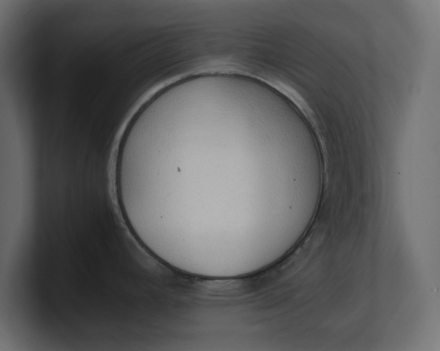 X0000100481392200806271153