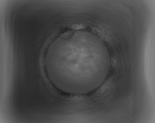 X0000100481393200806271152