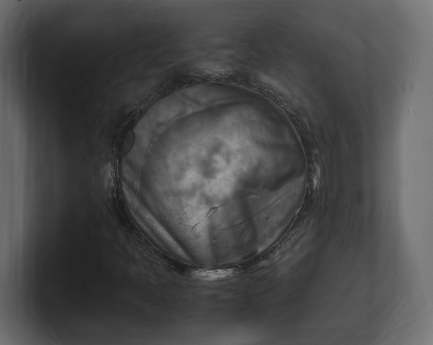 X0000100481397200806271152