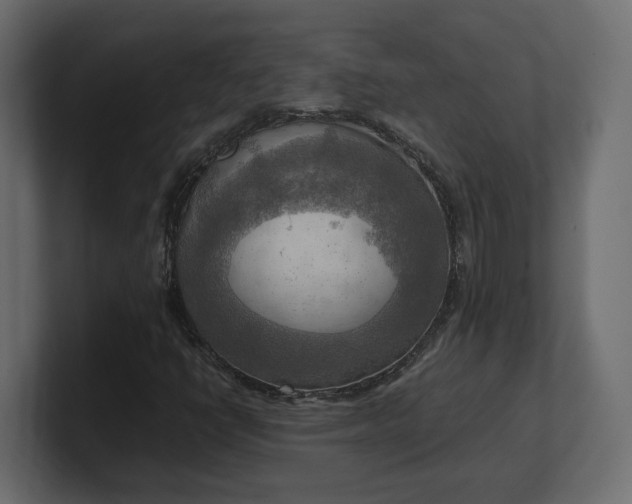 X0000100481398200806271152