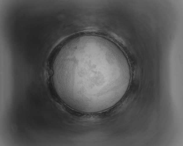 X0000100481400200806271152