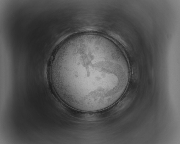 X0000100481404200806271152