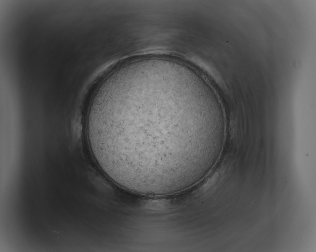 X0000100481406200806271152