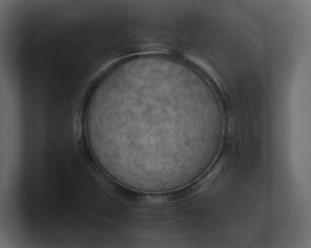 X0000100481407200806271152