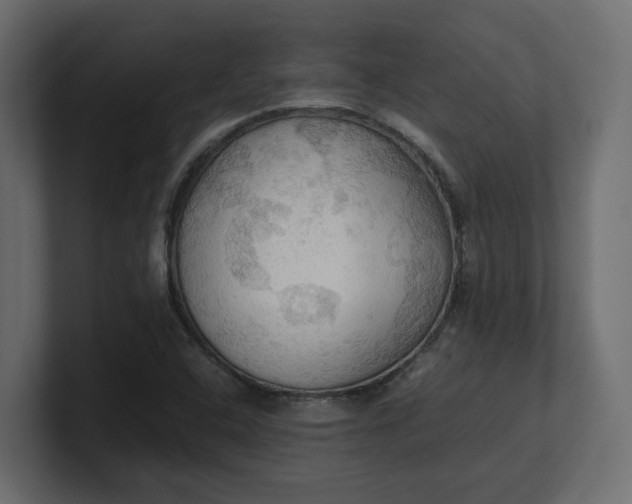 X0000100481408200806271152