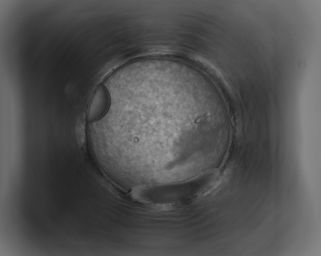 X0000100481409200806271152