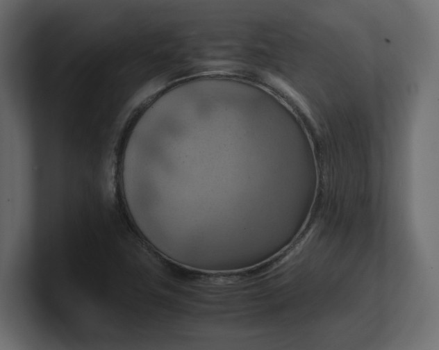 X0000100481411200806271153