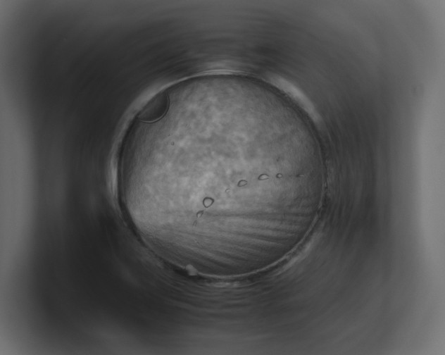 X0000100481419200806271153