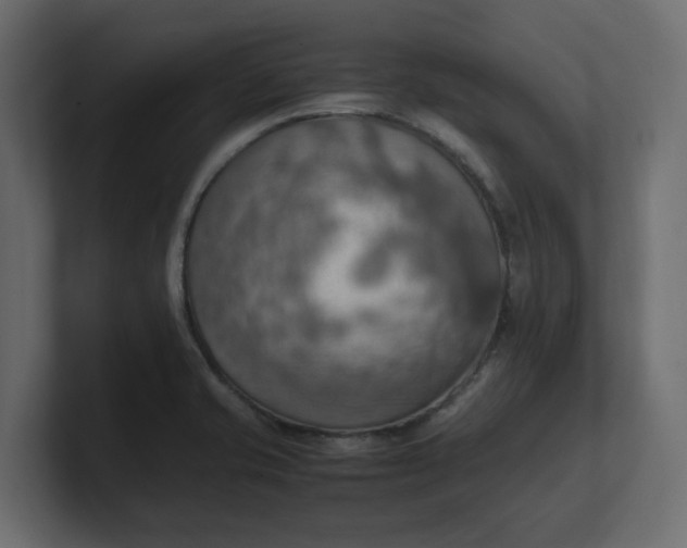 X0000100481421200806271153
