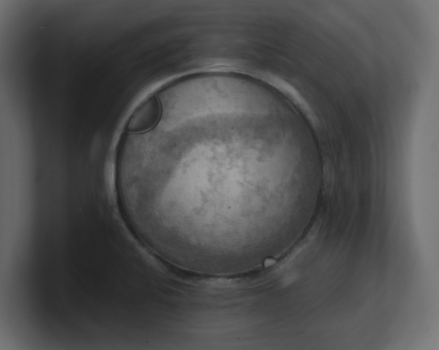 X0000100481424200806271153