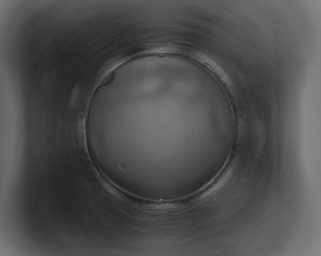 X0000100481425200806271153