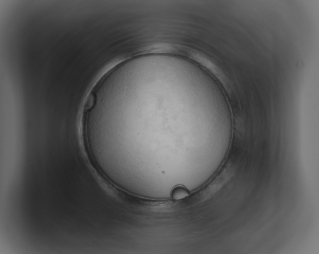 X0000100481426200806271153