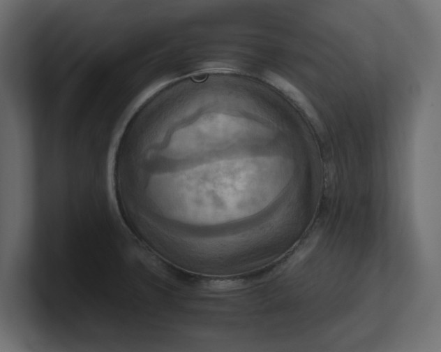 X0000100481427200806271153